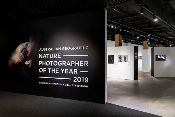 art_gallery_photographer_NSW_049